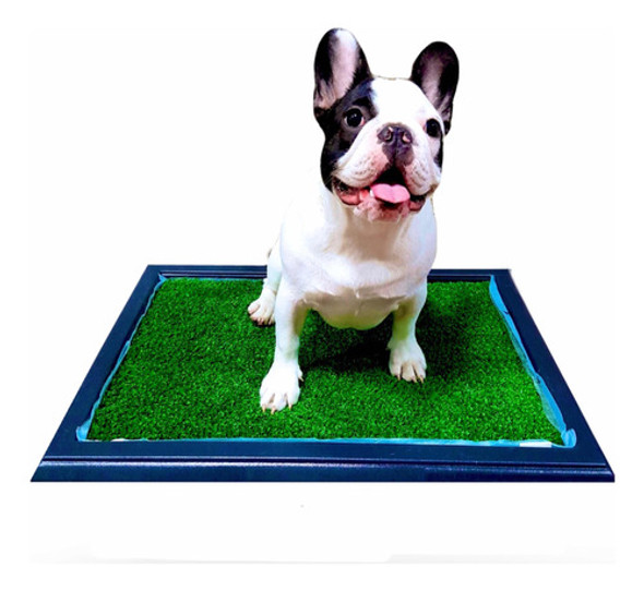 Repuesto Alfombra Sanitaria Pasto Artificial, Perro Mascotas 0
