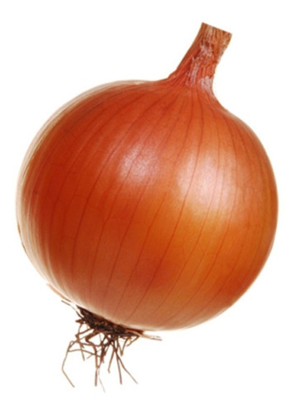 305 Sementes De Cebola Crioula 0 305 Sementes De Cebola Crioula 0