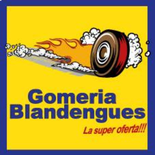 Cubierta Neumatico 225 55 16 Gomeria Blandengues 1