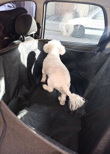 Funda Protectora Autos Perros Y Mascotas. Impermeable! 0