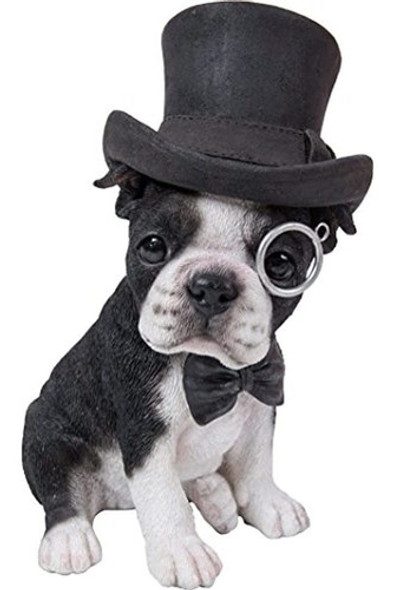 Boston Terrier Con Gafas Y Pajarita 0
