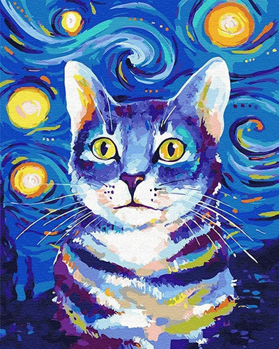 Starry Sky & Cat 0