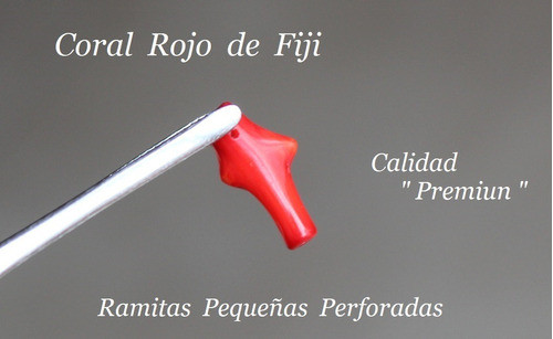 Coral Rojo De Fiji - Natural - Ramitas Perforadas 1
