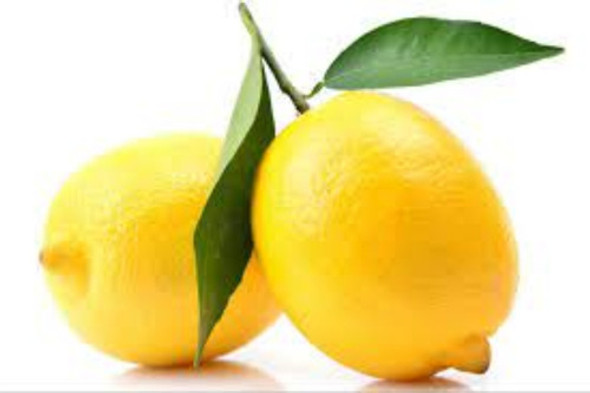 Limonero Génova Inj. 4 Est. Premium - Envíos - Hab.senasa 0