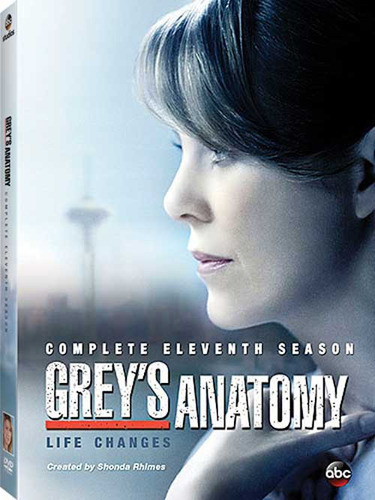 Grey's Anatomy ( Serie De Tv ) - Temporada 11 En Dvd 0