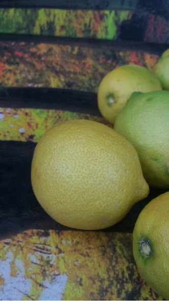 Limones Organico 1k 1