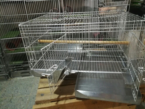 Jaula Aves 2h Loros Periquitos Silvestres 0