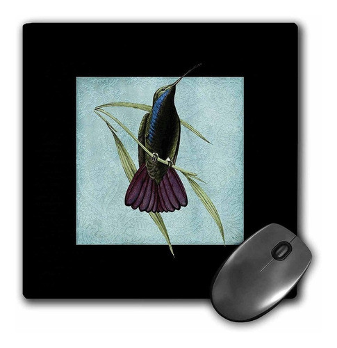 3drose Llc 8 x 8 x 0.25 inches Mouse Pad, Colibrí Clásico 0