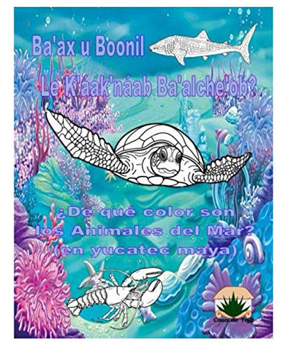 Ba'ax U Boonil Le K'aak'naab Ba'alche'ob?: ¿de Que Color Son 0