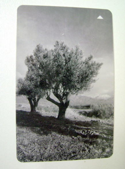 Tarjeta Llave Hotel Park Hyatt Mendoza Coleccion Boedo 0