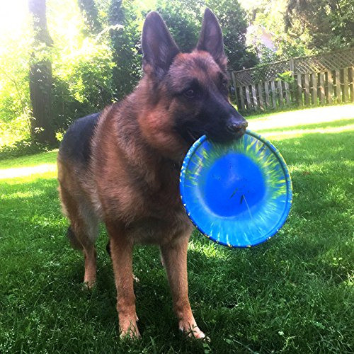 Ruff Dawg K9 Flyer Rubber Dog Toy Grandes Colores Surtidos 0