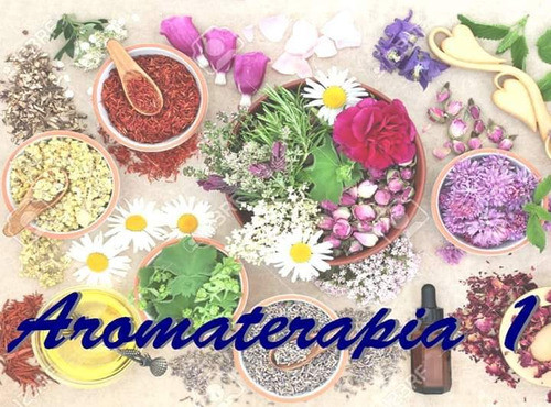 Curso De Aromaterapia. Taller 1 Y 2 On Line 1