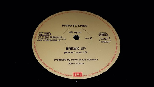 Private Lives Living In A World (turned Upside Down) Vinilo 1