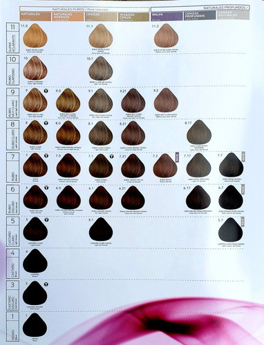 Kit 10 Tinturas Cav X 60 Ml. 1