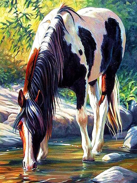 Kit Pintura Con Diamantes 5d Caballo Blanco Negro 30x40cm 0