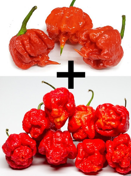 Sementes Trinidade Scorpion + Carolina Reaper 100 Unidades 1