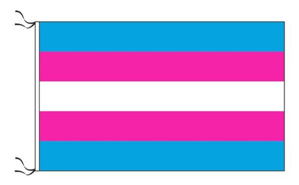 Bandera Transexual Trans 120 X 70cm 1