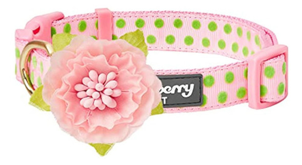 Blueberry Pet 20 Patrones Más Codiciados Collares 0