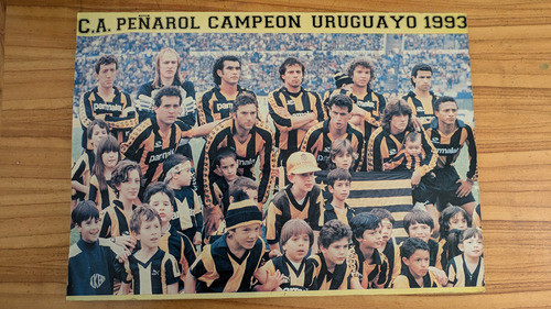 Cuadro Peñarol Primer Año Del Quinquenio 1993 (grande) 0