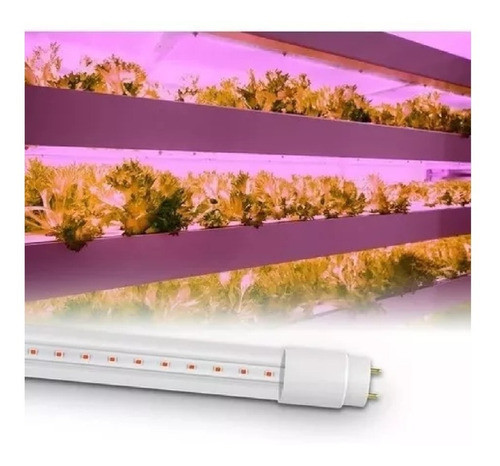 Tubo Led Grow T8 P/cultivos Artificial 9w 1200k 220v -sica- 1