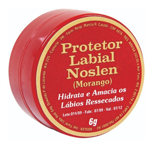 Protetor Labial Noslen Morango 6g Combo Com 5 Unidades 1