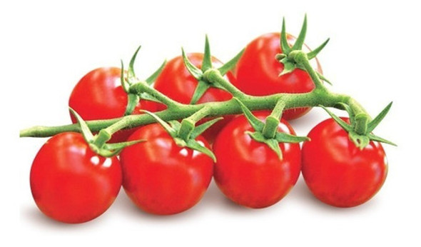 30 Sementes Tomate Cereja Mini Cerejinha Hidroponia Terra 0