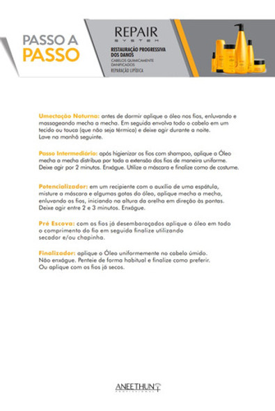 Shampoo Aneethun Repair System Pós Química 1000ml 1