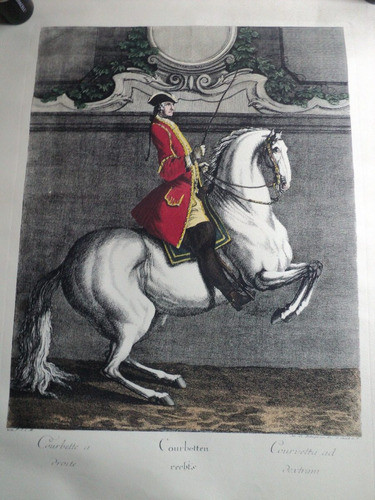 Grabado Courbette À Droite Johann Elias Ridinger Caballo 0