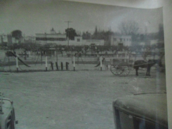 Antigua Fotografia Foto Automovil Carro Caballo Parque 1