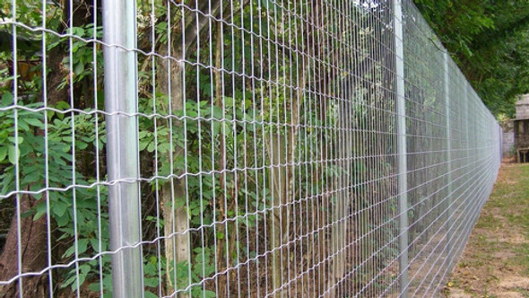 Tela Belgo Practica 2,3mm - 15x5cm -  1,52x25m 1