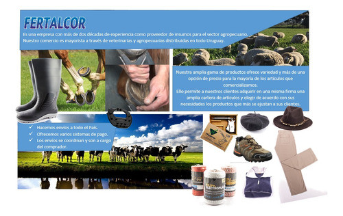 Cargador Picana 1