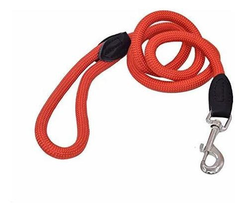 Molaxpet Correa De Cuerda De Nylon De 4 Pies De Comodidad Du 1