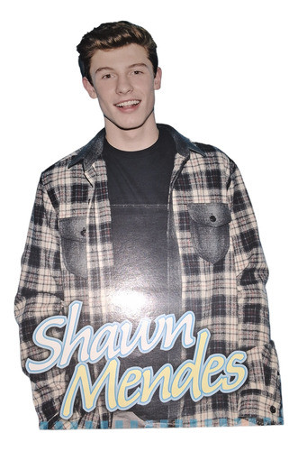Poster Shawn Mendes  45 X 30 0