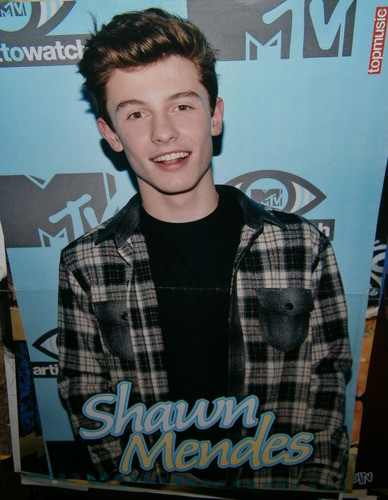 Poster Shawn Mendes  45 X 30 1