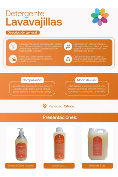 Detergente Natural Citrico Desengrasa 1