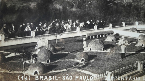 Rara Postal Serpentario Instituto Butantan San Pablo Brasil 0