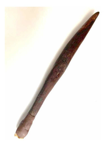 Cuchillo Antiguo Aborigen Australiano Con Certificado. Leer 0