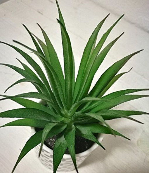 Plantas Suculentas Artificiales En Maceta De Bonita Casa 1