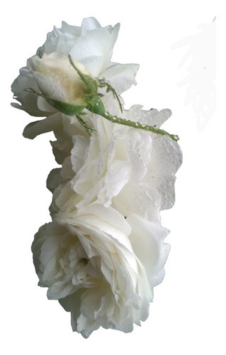 Rosa Blanca Inglesa Muy Perfumada 0