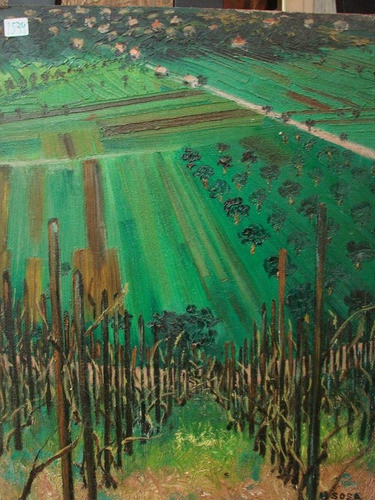 Hugo Sosa / Campo Cultivo / Oleo / 50 X 40 # 1534 1