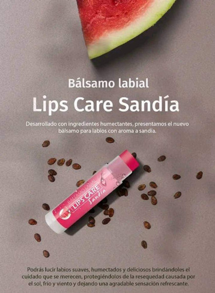 Bálsamo Labial Sandía Millanel Lips Care 1 Bálsamo Labial Sandía Millanel Lips Care 1
