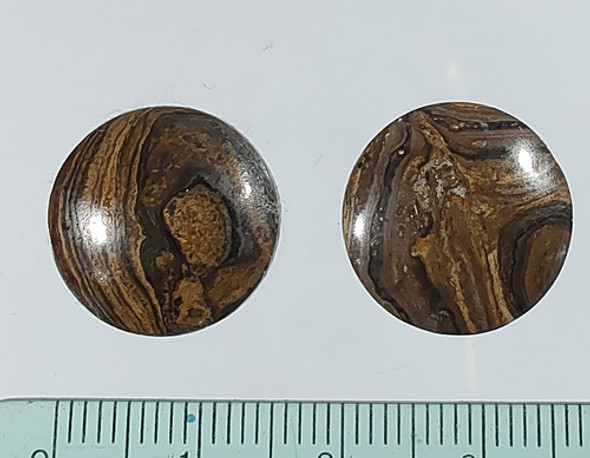 Estromatolito Cabujon Ranurado Lote X  2 Unid Art 106 1