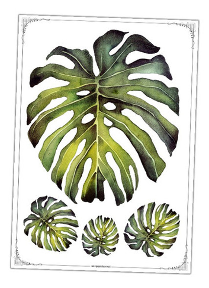 #32 - Hoja Monstera - Lámina Para Transferencias 30 X 40 Cm 0 #32 - Hoja Monstera - Lámina Para Transferencias 30 X 40 Cm 0