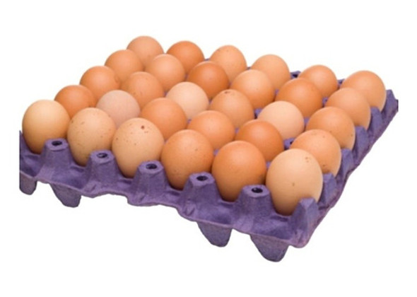 Huevos De Campo Ovo Premium De Gallinas Pastoriles Maple 1 Huevos De Campo Ovo Premium De Gallinas Pastoriles Maple 1