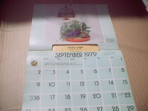 Almanaque Antigüo Coleccionista Floreria 1979 0