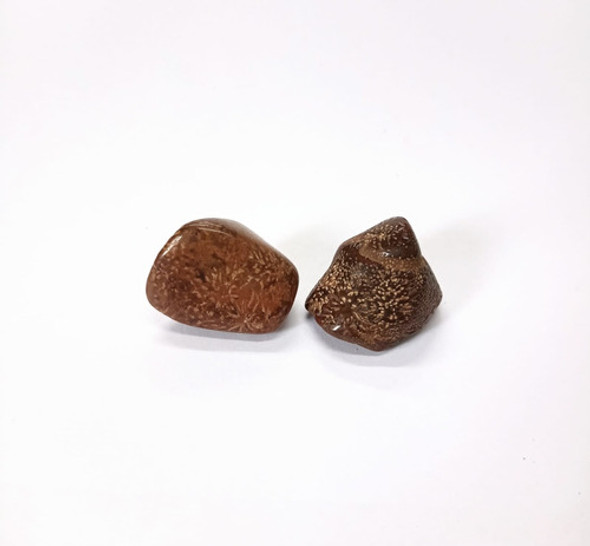 Jaspe Estrella - Ixtlan Minerales 1
