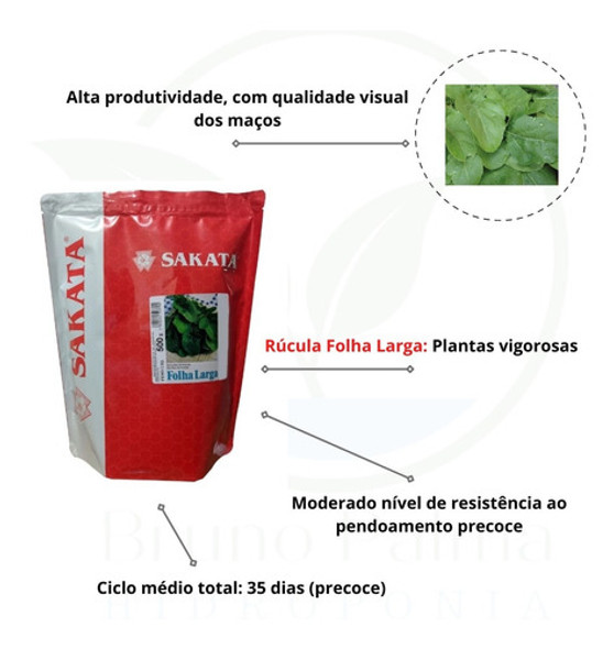 Semente De Rúcula Folha Larga Astro 500g - Sakata 1