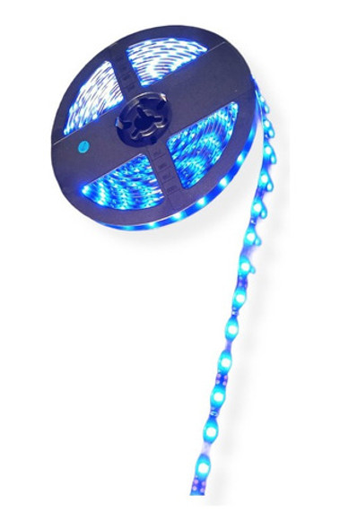 Rollo De Led  (300 Led) 5 Metros - Azul 24v - Lux Led 0