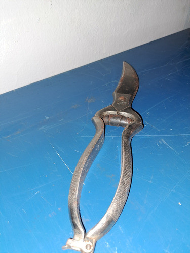 Antigua Tijera De Cortar Pollo Italiana Loss 1