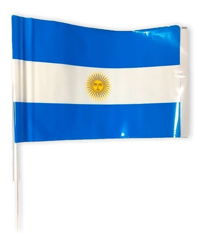 Banderas  Plásticas Argentina X 40 15x25 Cotillón Banderin 0